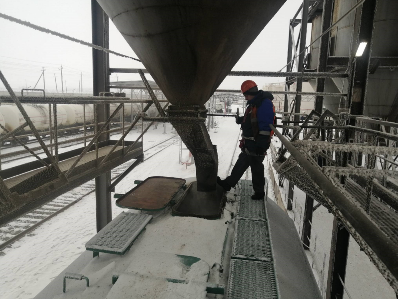 Маслозаводы Башкортостана экспортировали более 11 тыс. тонн подсолнечного шрота