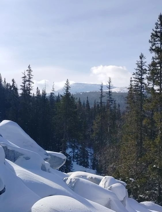 В 2026 году заповедники Башкортостана посетили 11 тысяч туристов