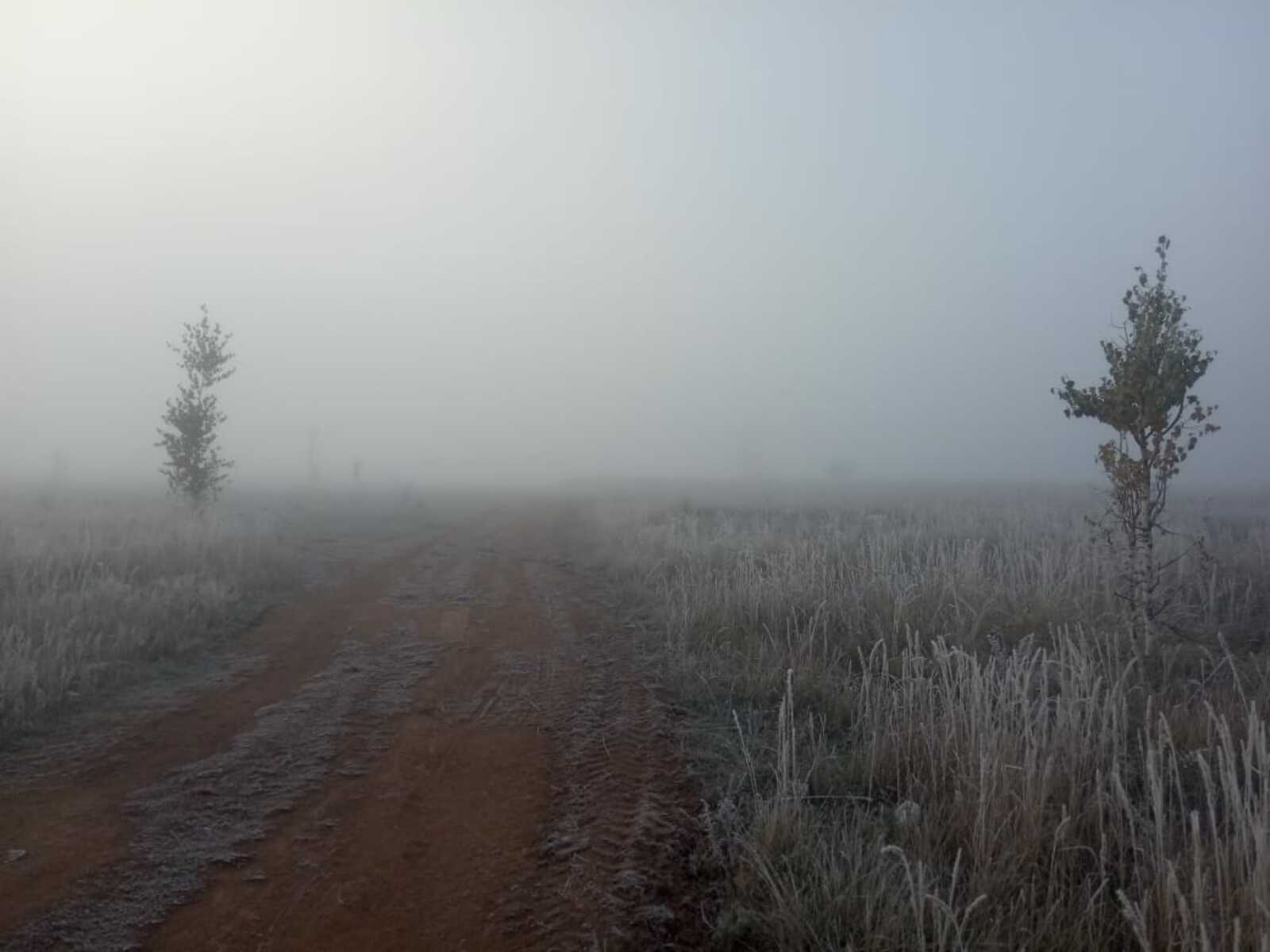 В Башкирии ожидаются заморозки и туман
