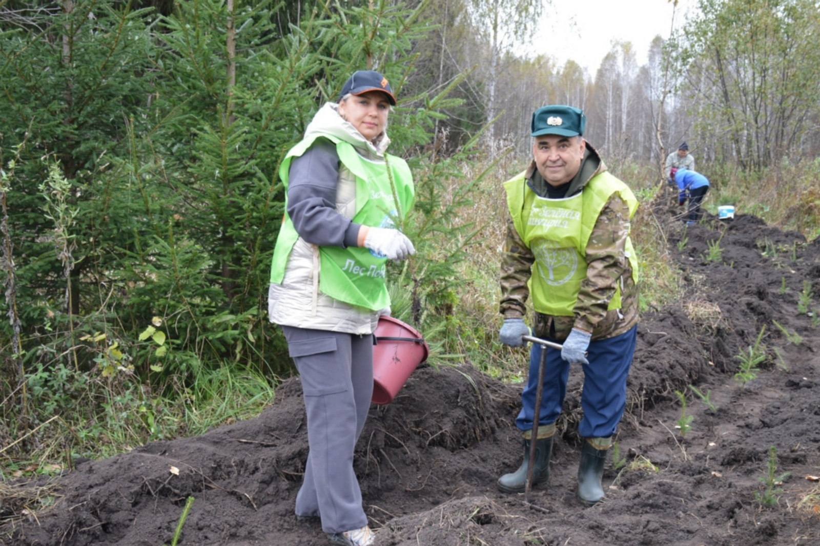 В 2026 году лесоводы Башкортостана проведут лесовосстановление