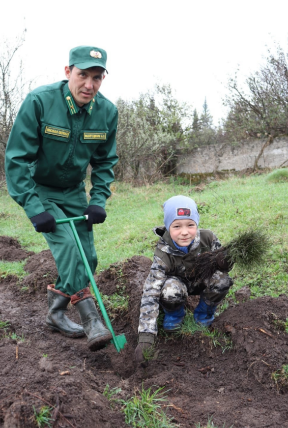 В Башкортостане в рамках акции «Сад памяти» высадили более 1,8 млн деревьев