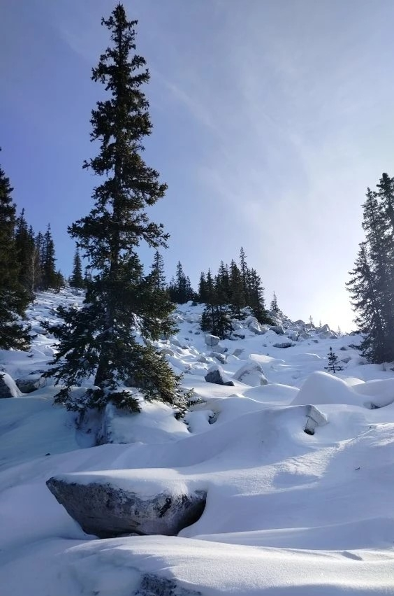 В 2026 году заповедники Башкортостана посетили 11 тысяч туристов