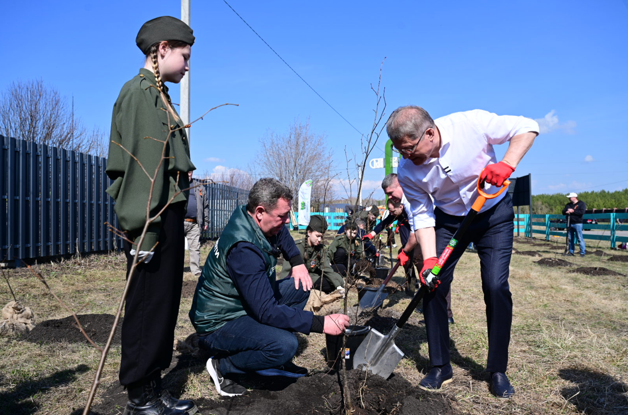 В Башкортостане в рамках акции «Сад памяти» высадили более 1,8 млн деревьев