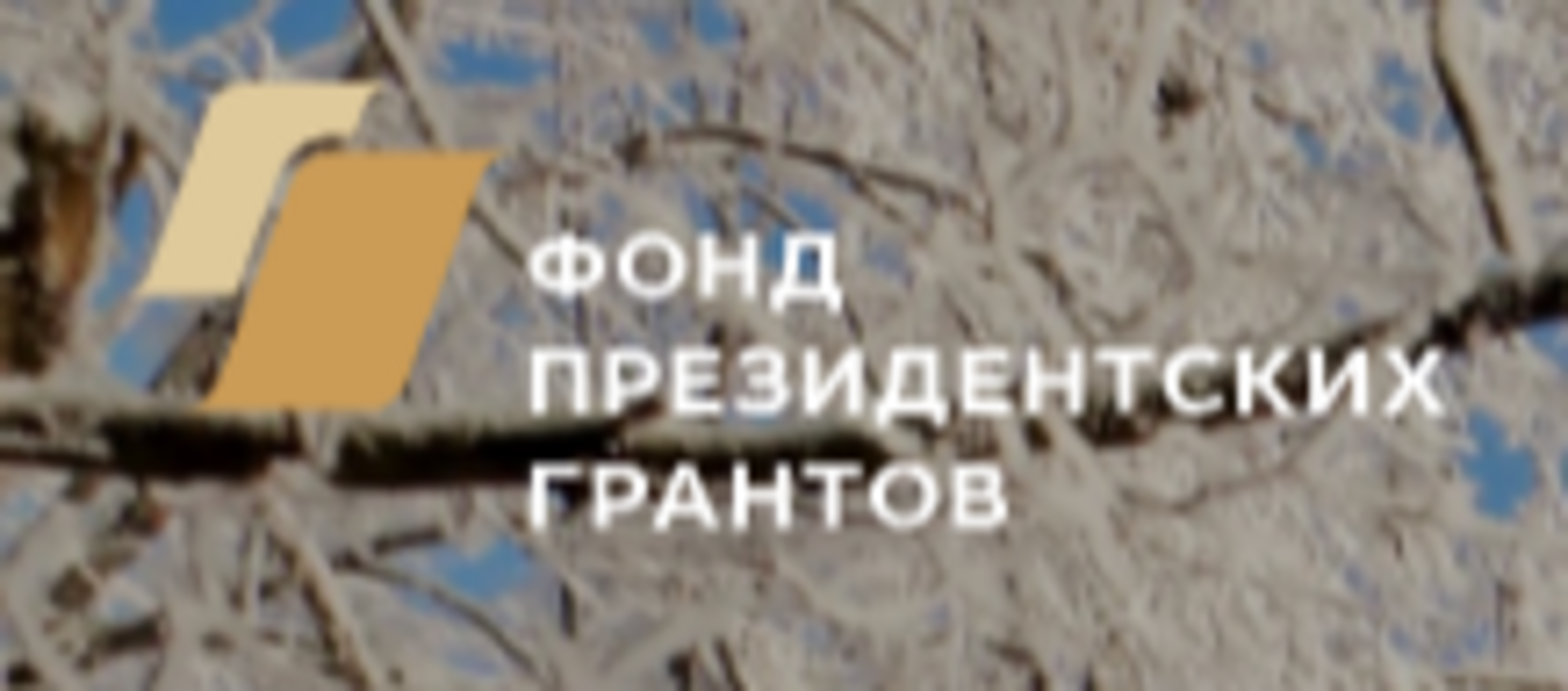 НКО Башкортостана приглашают участвовать в конкурсе Фонда президентских грантов