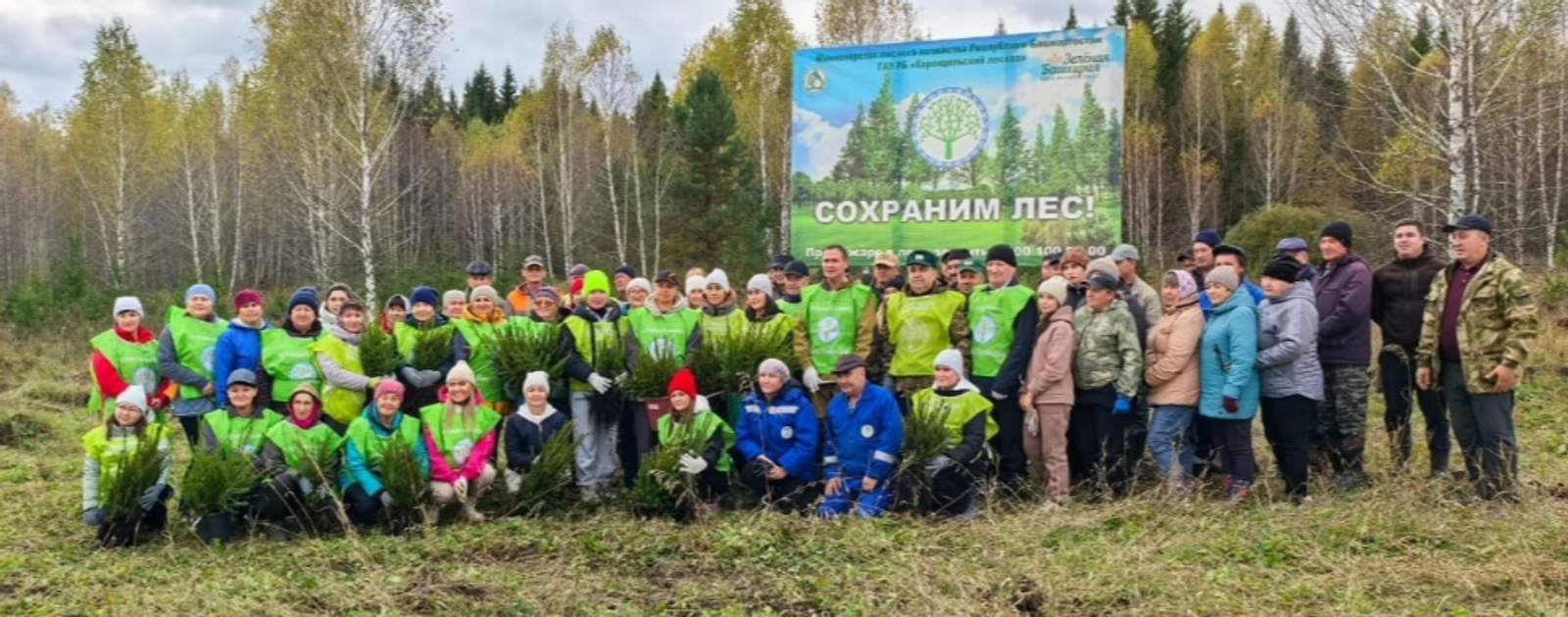 Жители Башкортостана стали самыми активными участниками акции «Сохраним лес»