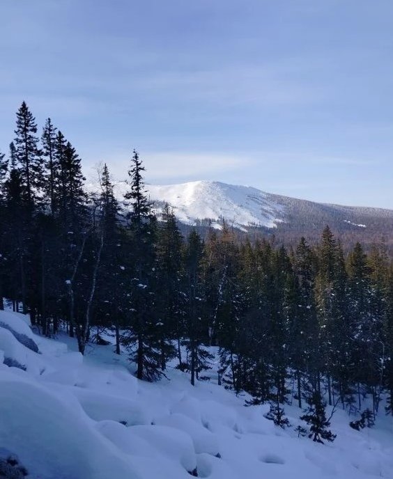 В 2026 году заповедники Башкортостана посетили 11 тысяч туристов