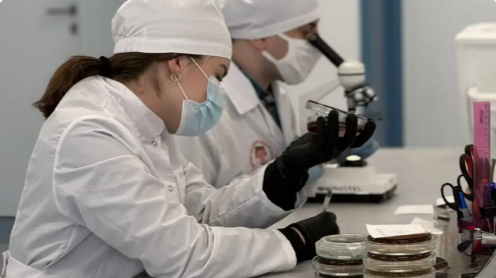 В Межвузовском кампусе создали тест-систему для поиска «бактерии стройности»