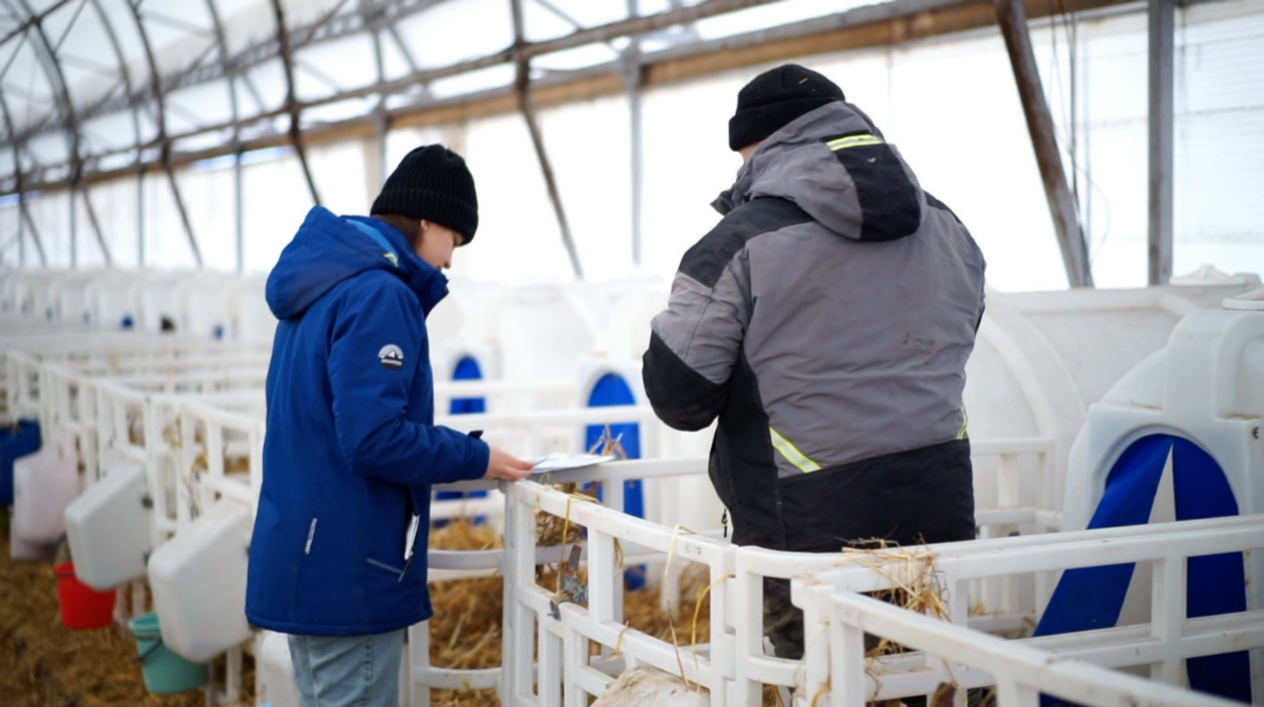 Молодым специалистам АПК Башкортостана вновь выделят по 750 тысяч рублей