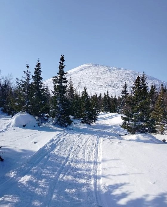 В 2026 году заповедники Башкортостана посетили 11 тысяч туристов