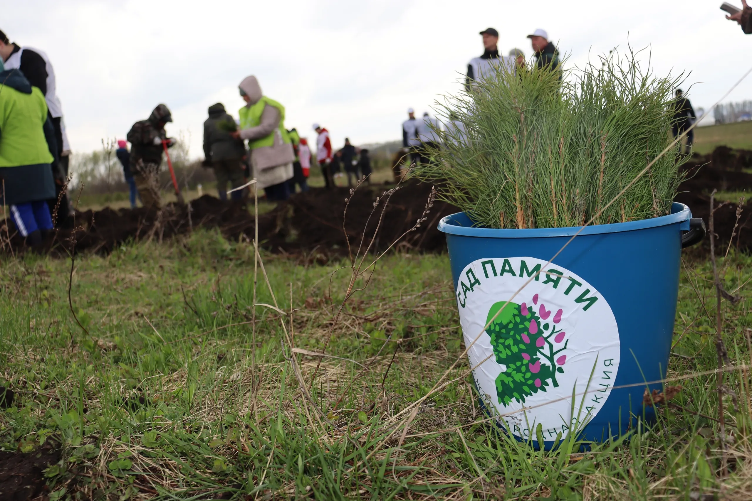 В Башкортостане в рамках акции «Сад памяти» высадили «Лес Героев»