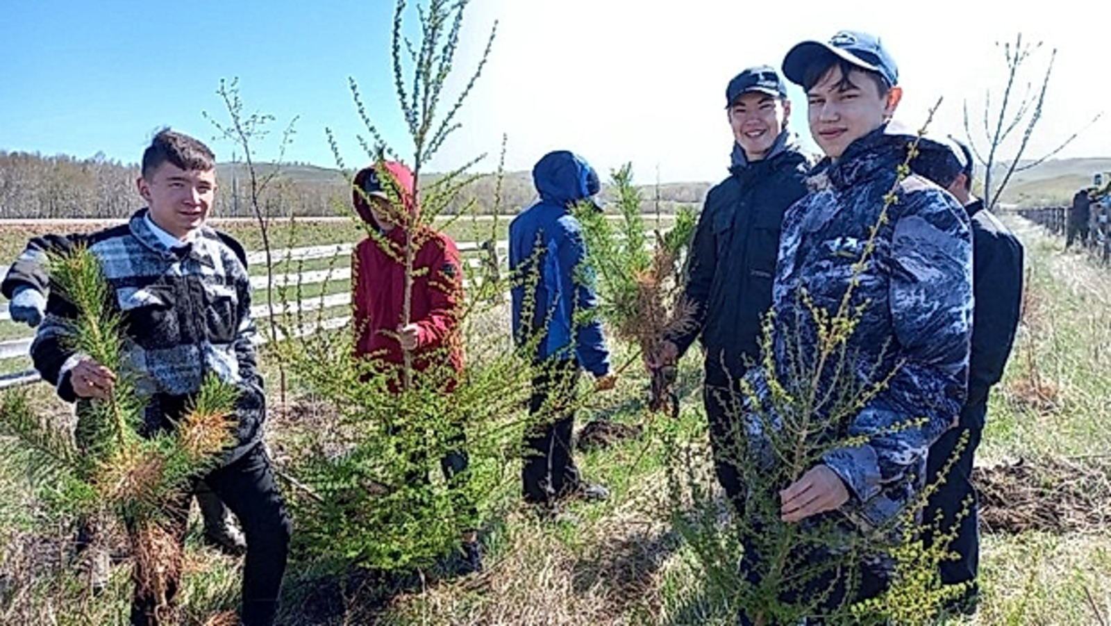 Юные лесоводы Башкортостана высадили более 5 тысяч деревьев и кустарников